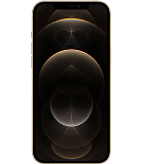 Ремонт модема  iPhone 12 Pro Max